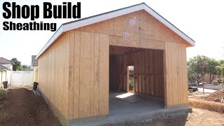 Shop Build  Sheathing walls by myself [upl. by Eenalem]