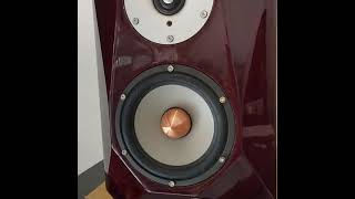 Diy bookshelf speaker with seas excel and scanspeak crossover with LinkwitzRiley order4 [upl. by Anileva452]