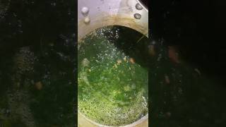 How to cook Ewedu soupnigerianfood cooking recipe youtubeshorts diy [upl. by Akenehs]