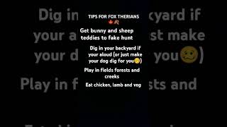 Tips for fox therians therianthrophy foxtherian [upl. by Eatnom240]