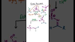 Ellman Auxiliaries for Amine Synthesis chemistry organicchemistry [upl. by Amabelle]