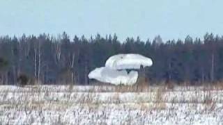 Russian army airborne troops parachuted BMD2 armoured with crew inside Ria Novosti [upl. by Nadean552]