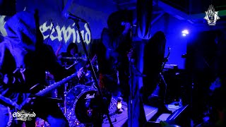 ELDERWIND  live at Bumazhnaya Fabrika Club 22032024 [upl. by Annayt]