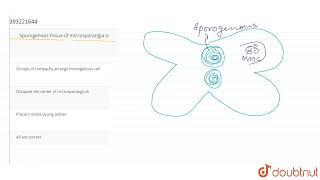 Sporogenous tissue of microsporangia is  CLASS 11  SEXUAL REPRODUCTION IN FLOWERING PLANTS [upl. by Mcgaw]