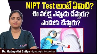 NIPT Test అంటే ఏమిటి  NITP Test In Pregnancy  Non Invasive Prenatal  Dr Shilpa Womens Clinic [upl. by Nnaoj641]