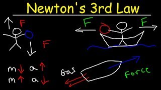 Newtons Third Law of Motion  Action and Reaction Forces [upl. by Seltzer]