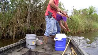 Day 5  2018 Louisiana Alligator Hunting Season Catching Gators in South Louisiana Marsh [upl. by Feinberg]