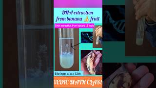 DNA extraction from banana 🍌 fruit shorts science biology [upl. by Nyrahs68]