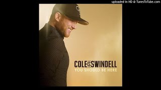 Cole Swindell  Flatliner Ft Dierks Bentley [upl. by Roland344]