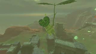 Korok Seed 222 Akkala Citadel Ruins  The Legend of Zelda Tears of the Kingdom [upl. by Arracat]