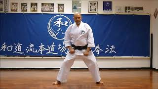 Pinan Godan  Wado Ryu 5th Pinan Kata  Wado Ryu Hon Dojo  Karate video [upl. by Forward]