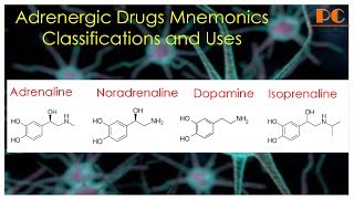 Sympathomimetics Pharmacology Part 1  Sympathomimetic Drug Classification and Uses [upl. by Treve729]