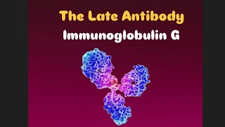 Immunoglobulin G [upl. by Novart]