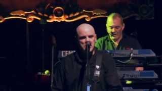 Golden Brown by The Stranglers Live 2014 Academy Manchester [upl. by Meredithe]