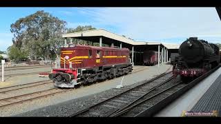 NSW Railway Museum  Thirlmere  2024 [upl. by Nerfe]