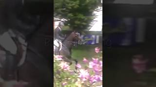 🤎🔥конныйспорт hickstead horse конкур хикстед [upl. by Doersten]