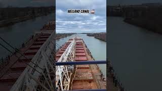 Going through the Welland canal 🛫 trending ship ocean marine [upl. by Lynnell456]