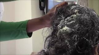 Matted Hair Detangler TAKE DOWN Review  How To  Tutorials [upl. by Dimo]