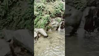 Rock garden Darjeeling funny masti [upl. by Elatnahs81]