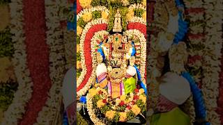 Sankatahara Chaturthi 201024 Rockfort Ucchipillayar darshan 🙏 vinayagar youtubeshorts [upl. by Eitnom561]