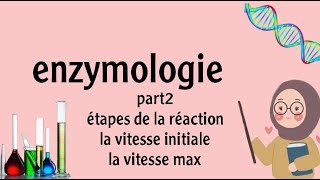 enzymologie  la cinétique enzymatique part 2 [upl. by Ettinger420]