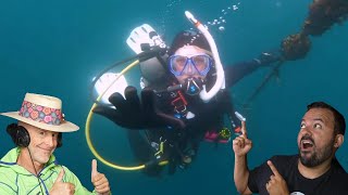 Divers React to Terrifying Wreck Experience [upl. by Liamaj]