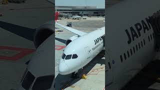 JAL premium economy review japanairlines luxurytravel premiumeconomy tripreport flightreview [upl. by Elise349]