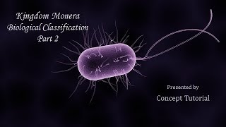 Kingdom Monera  ArchaebacteriaEubacteriaCyanobacteriaMycoplasma  Biology Class 11NEET [upl. by Breed]