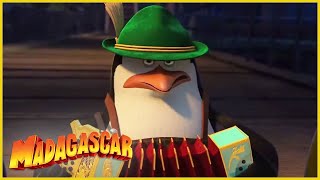 DreamWorks Madagascar en Español Latino  Baile Bofetadas  Clip de Los Pingüinos de Madagascar [upl. by Sseb]