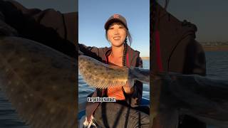 Targeting halibut on the skiff fishing skiff fishinglife fishingdaily fishingthisway fishon [upl. by Amo]