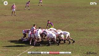 2024 Rugby  Hilton College 1stXV vs Michaelhouse 1stXV [upl. by Salomone]