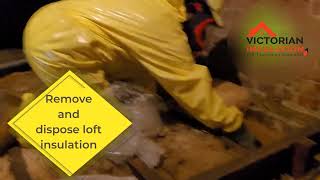 Removal and disposal of Loft Insulation  Victorian Insulation Loft Boarding Specialist [upl. by Khajeh]