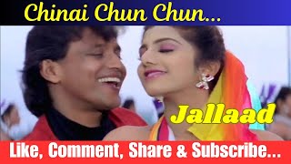 Chinai Chun Chun Cover Song  Jallaad  90s Hits  90s Love Song  Udit Narayan Sadhana  RK Rising [upl. by Lirba]