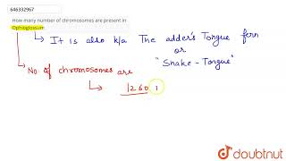 How many number of chromosomes are present in Ophioglossum  CLASS 9  CELL THE BASIC UNIT OF [upl. by Asirahc]