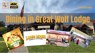 🍔2024 Great Wolf Lodge Williamsburg Virginia  Dining Options  Full Day Meal Deal greatwolflodge [upl. by Notsae260]