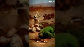 Imam Hussaina as New Short Wstapp Status Short Video Hussain Bant Raha Han Nijat La Jyo By Meer Hass [upl. by Yenaj474]