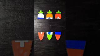 🥕🇮🇳🇨🇭🇷🇺 Carrot matching with hand ✋️  shorts viral art youtubeshorts kartvista [upl. by Suzanna]