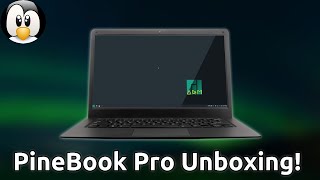 PineBook Pro Unboxing and First Impressions [upl. by Arinaid581]