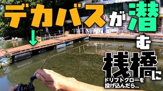 【日中の弁慶攻略】デカバスが潜む桟橋にジャッカルのドリフトクローを投げ込んだら糸が走った！ [upl. by Gaultiero]