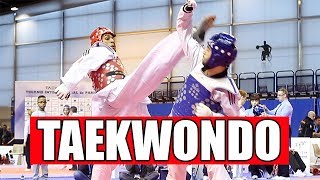 TAEKWONDO  LES PLUS BELLES ACTIONS [upl. by Alyk846]