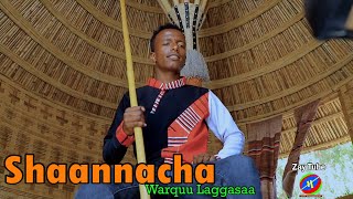 Warquu Laggasaa  Shaannacha  New ethiopian music  Oromo cultural music  2022 [upl. by Eelanna879]