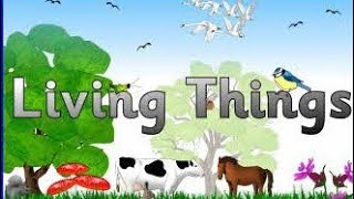 Living things activity 💫performed by Nursery Class ✨Clear the Concept of your child 😇Subscribe [upl. by Sokairyk187]