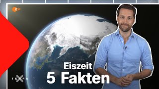 Eiszeit in Europa – 5 spannende Fakten  Terra X [upl. by Derfnam648]