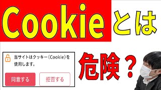 スマホによく出るクッキー（cookie）とは？許可やOK、受け入れるは押してもいいの？ [upl. by Perrie]