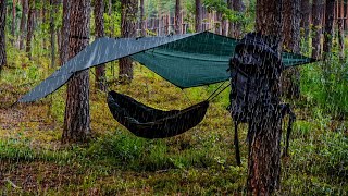 The Truth About Hammock Camping [upl. by Hillie]