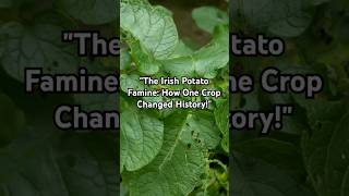 quotThe Irish Potato Famine How One Crop Changed Historyquot [upl. by Limbert]