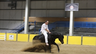 Amazing Reining freestyle [upl. by Hadnama]