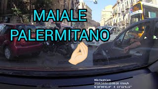 Palermo ignorante e arrogante pt 8 [upl. by Azerila658]