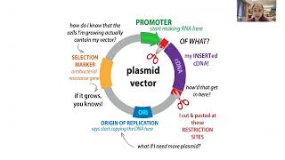 Molecular cloning overview  techniques amp workflow [upl. by Ruomyes441]