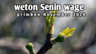 Senin Wage ramalan primbon dibulan November 2024 [upl. by Mayworm468]